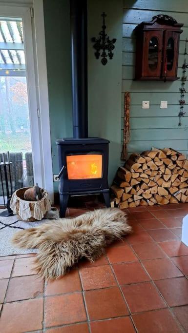 Comfortable Chalet In A Unique Location In Forest Essen Exteriör bild